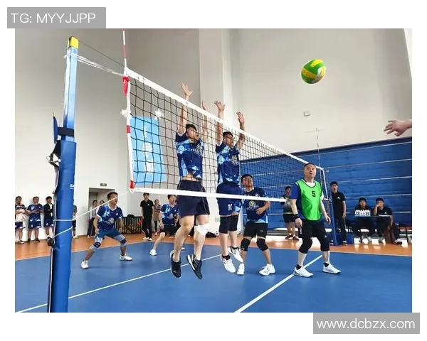 杭州排球队创历史新高排球耐力排名引发热议